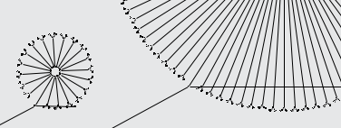 Circo layout